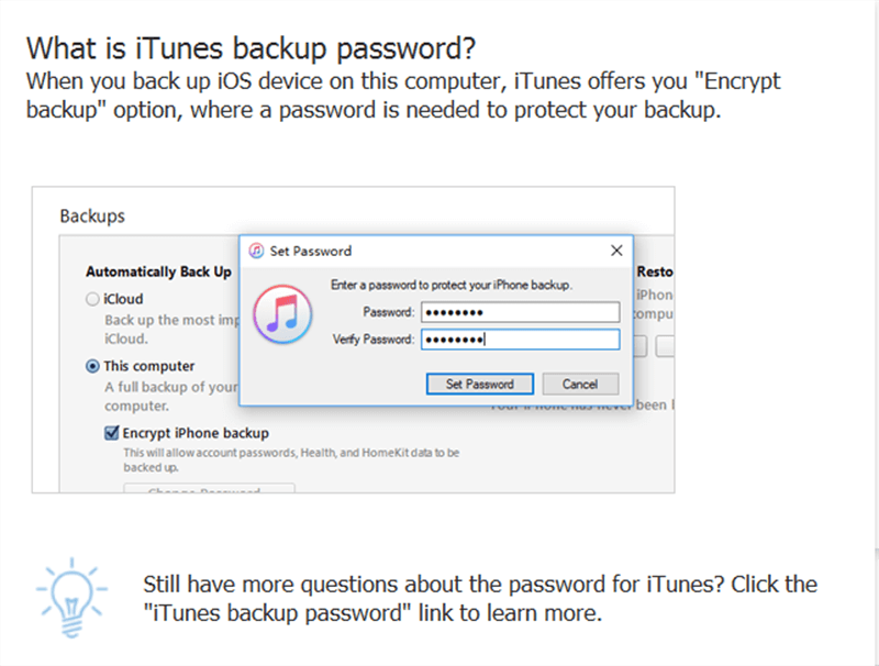 Impostazione della password di backup per proteggere il backup di iPhone