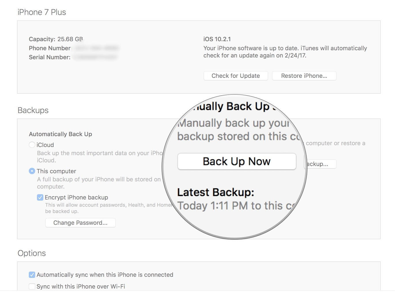 Usa Itunes per fare il backup di Iphone Ipad