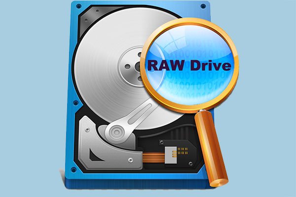 Software RAW Drive Recovery: Zero Assumption Recovery