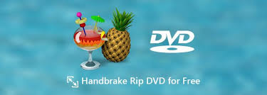 Come convertire DVD in WMV con HandBrake