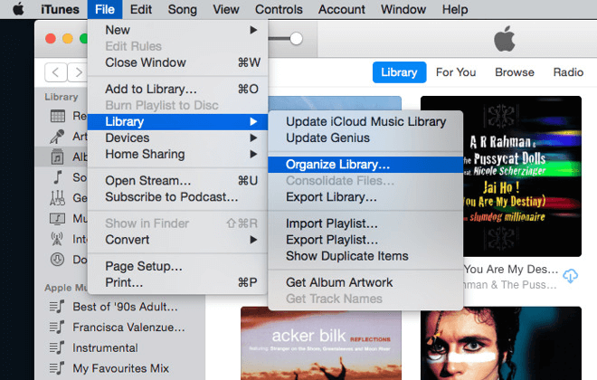 Scegli la libreria iTunes per trasferire la libreria iTunes sul nuovo Mac