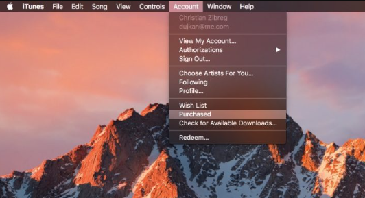 Prova a riscaricare la musica dal tuo iTunes Store sul tuo computer