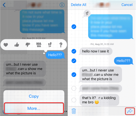 Copia e incolla iMessage nell'e-mail