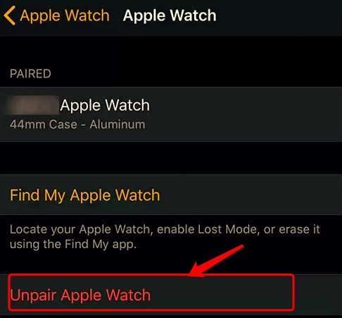 Come sbloccare facilmente Apple Watch senza password iCloud