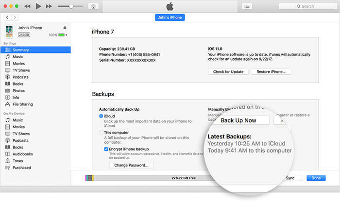 Guida su come eseguire il backup delle foto del tuo iPhone utilizzando iTunes