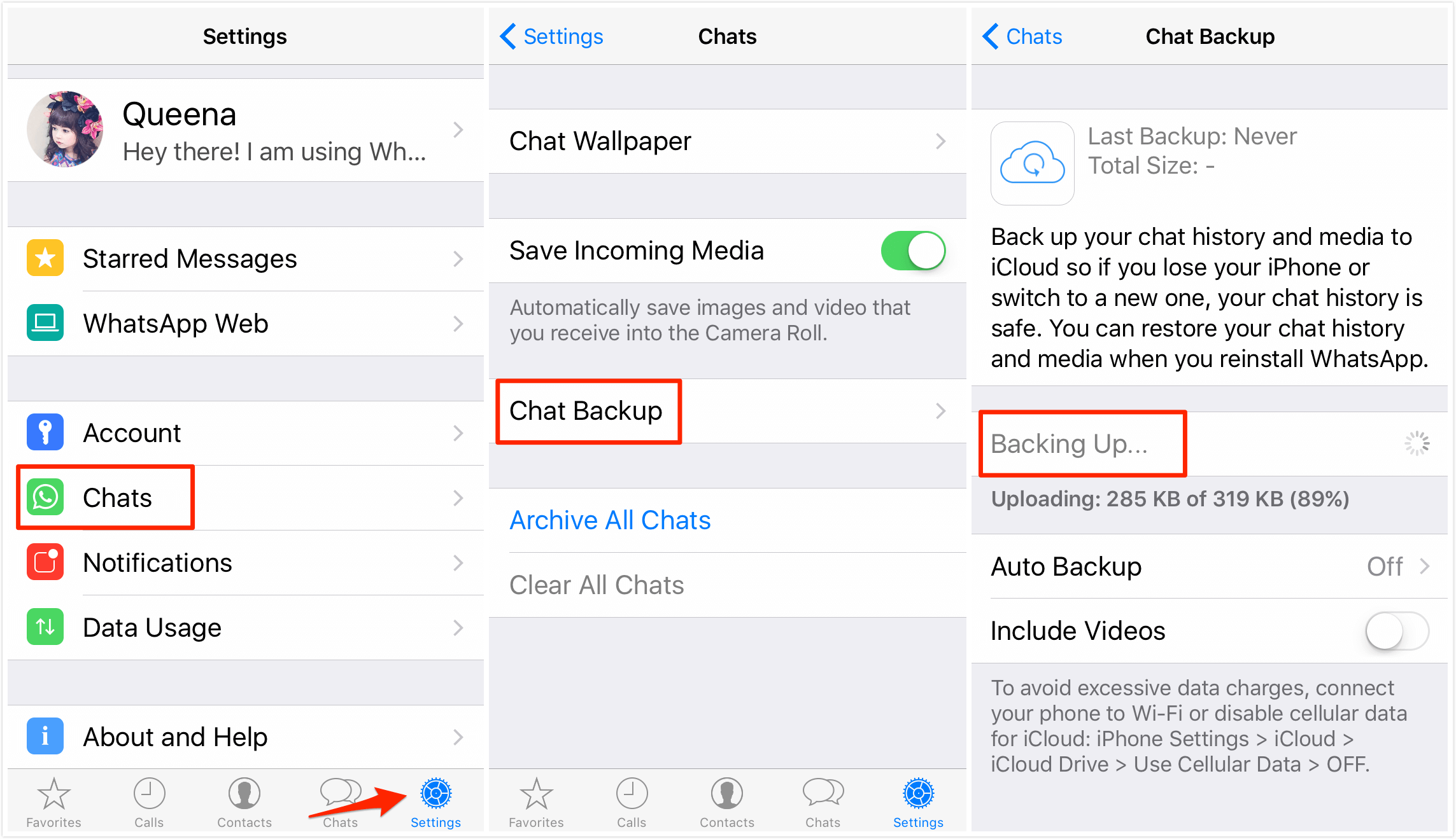 backup WhatsApp-dati-on-iPhone