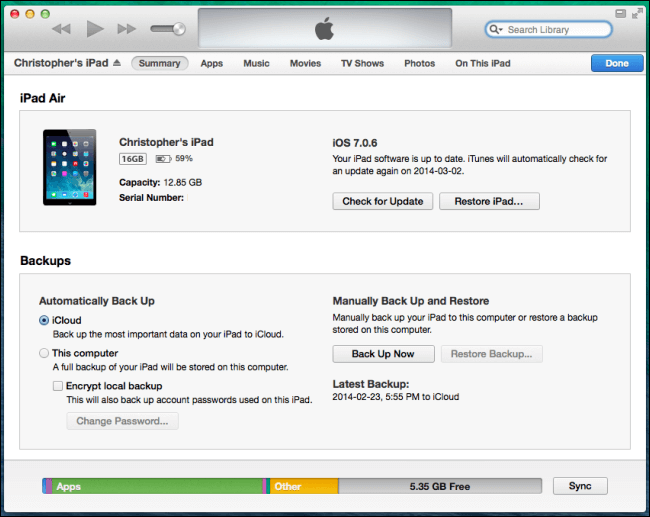 Esegui il backup dei dati dell'iPad con iTunes