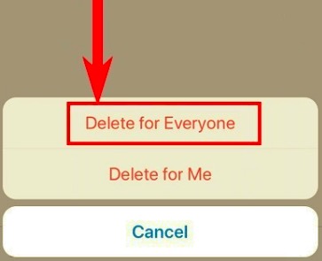 Elimina i messaggi di WhatsApp sul tuo iPhone