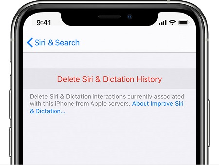 Cancella la cronologia delle ricerche di Siri su iPhone