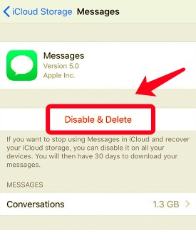 Elimina iMessage in iCloud Backup