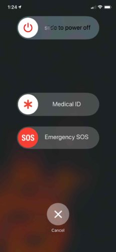 Il riavvio di iPhone per correggere Safari non può aprire la pagina perché l'indirizzo non è valido