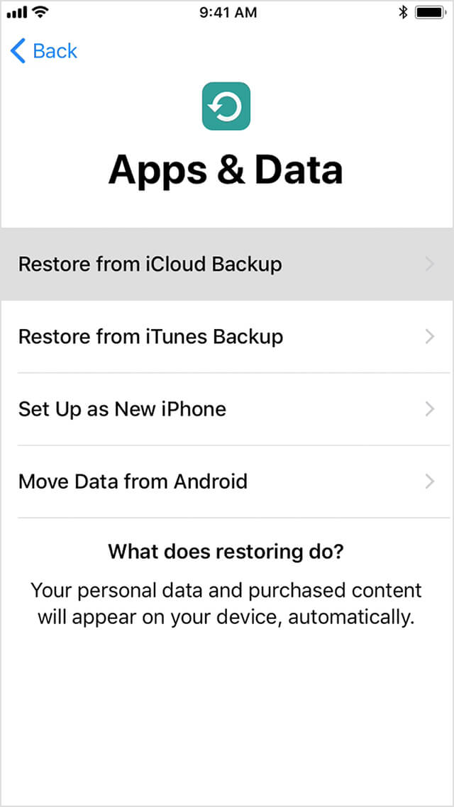 Scopri i messaggi eliminati su iPhone utilizzando il backup iCloud