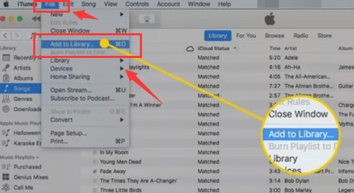 Importa DVD su iTunes