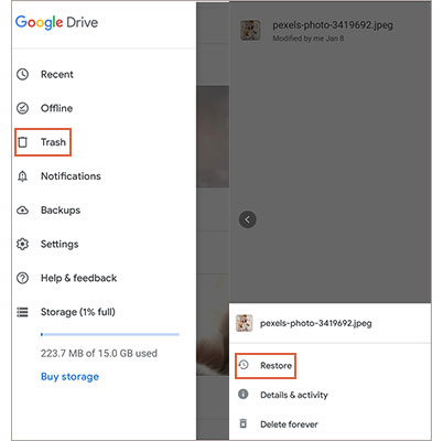 Vedi le foto eliminate di recente utilizzando il cestino su Google Drive