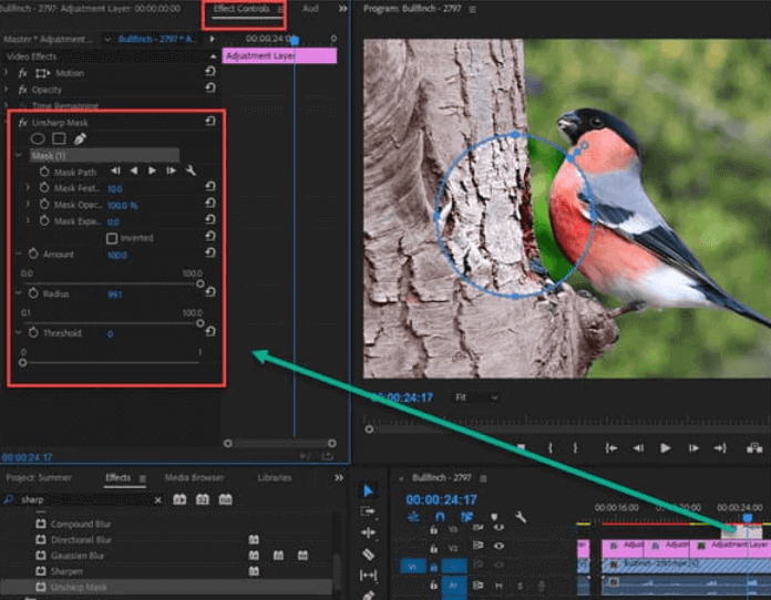 Migliora la risoluzione video utilizzando Adobe Premiere Pro