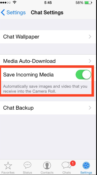 Salva i file multimediali di WhatsApp su iPhone utilizzando le funzioni integrate