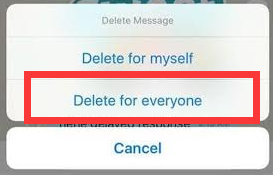 Scegli Elimina per tutti per eliminare la cronologia dei messaggi di Viber