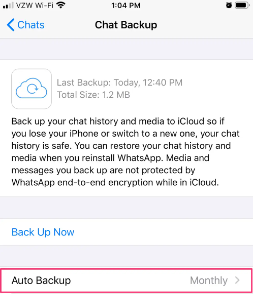 Come salvare audio da WhatsApp su iPhone usando iCloud?