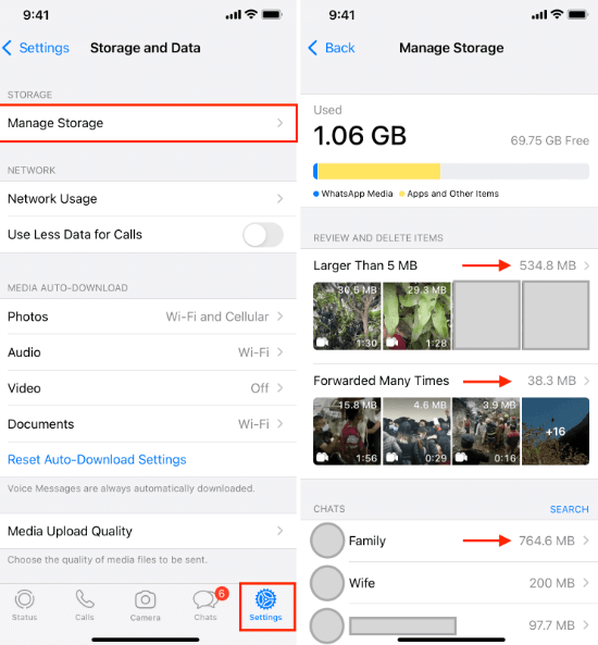 Eliminazione di WhatsApp Media su iPhone tramite The Manager Storage