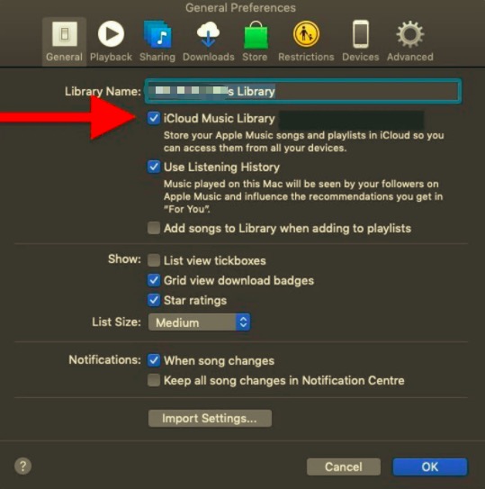 Sincronizza la musica dell'iPad con il computer tramite iCloud