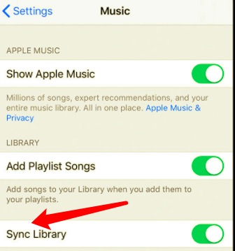 Sincronizza la libreria per trasferire musica da iPhone a Mac