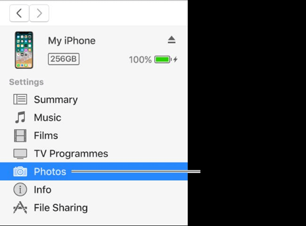 Trasferisci le foto dell'iPad tramite iTunes