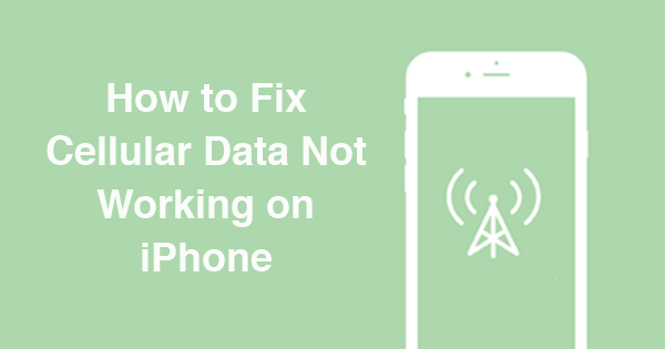 Correggi i dati cellulari che non funzionano su Iphone