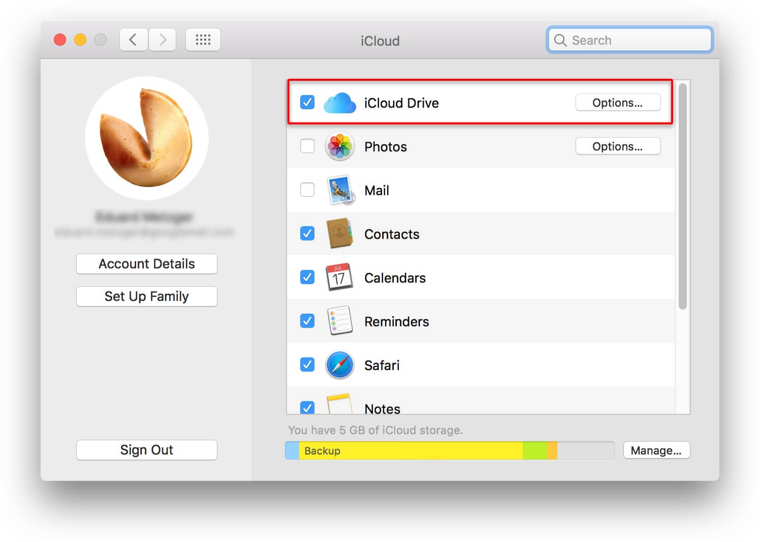 utilizza iCloud Drive per fare il backup