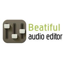 Usa Beautiful Audio Editor per registrare l'audio sul Chromebook
