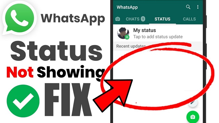Stato WhatsApp non visualizzato