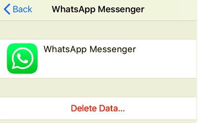 Elimina i dati iCloud di WhatsApp per cancellare il backup di WhatsApp