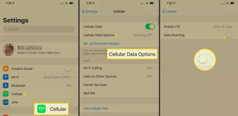 Disattiva il roaming per risolvere WhatsApp che non si connette ai problemi WiFi