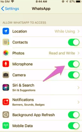 Consenti l'autorizzazione al microfono dell'iPhone per correggere la chiamata vocale o video di WhatsApp senza suono