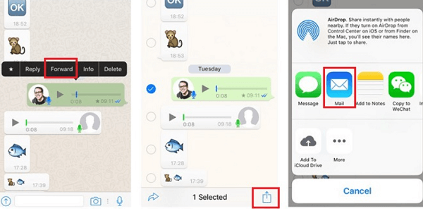 Salva i messaggi vocali di WhatsApp da iPhone usando l'e-mail