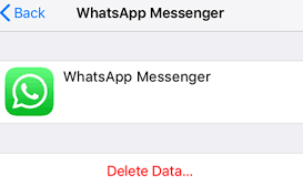 Eliminazione dei dati di backup di WhatsApp su iCloud